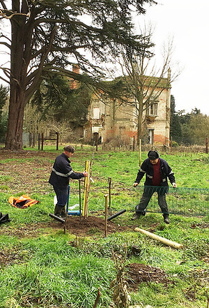Photograph by George Agnew of Sean Brinkley and Neil Batchelor planting a Judas Tree.