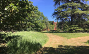 The remains of Rougham Hall showing between trees at the end of a grassy road. Remembering 80 years since the hall was bombed in 1940