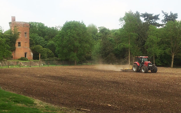 The outgrown Christmas trees plantation on the old tennis court in front of Rougham Hall has been removed as the first phase of parkland restoration. The site is destined to become a wildflower meadow with the seed being sown in Spring 2018.