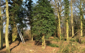 Eastlowhill at The Rougham Estate