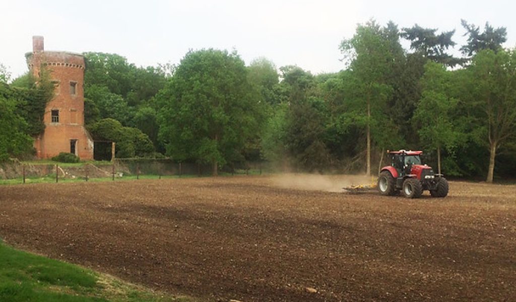 The outgrown Christmas trees plantation on the old tennis court in front of Rougham Hall has been removed as the first phase of parkland restoration. The site is destined to become a wildflower meadow with the seed being sown in Spring 2018.